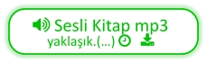  Sesli Kitap mp3 yaklaşık.(…)    