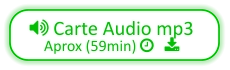  Carte Audio mp3 Aprox (59min)    