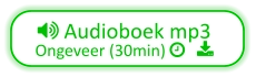  Audioboek mp3 Ongeveer (30min)    
