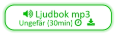  Ljudbok mp3  Ungefär (30min)    