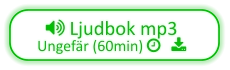  Ljudbok mp3  Ungefär (60min)    