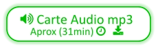  Carte Audio mp3 Aprox (31min)    