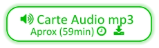  Carte Audio mp3 Aprox (59min)    