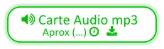  Carte Audio mp3 Aprox (…)    
