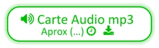  Carte Audio mp3 Aprox (…)    