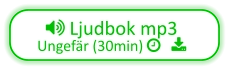  Ljudbok mp3  Ungefär (30min)    