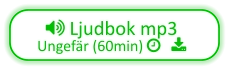  Ljudbok mp3  Ungefär (60min)    